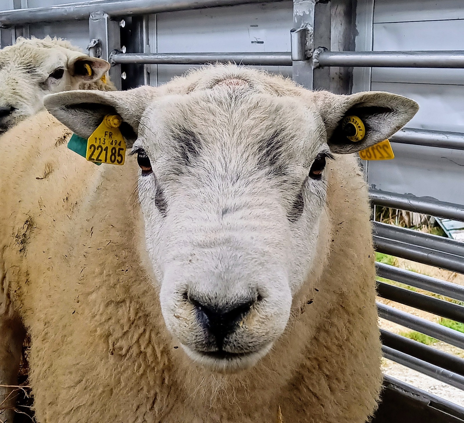 imagenPortadaCabreta